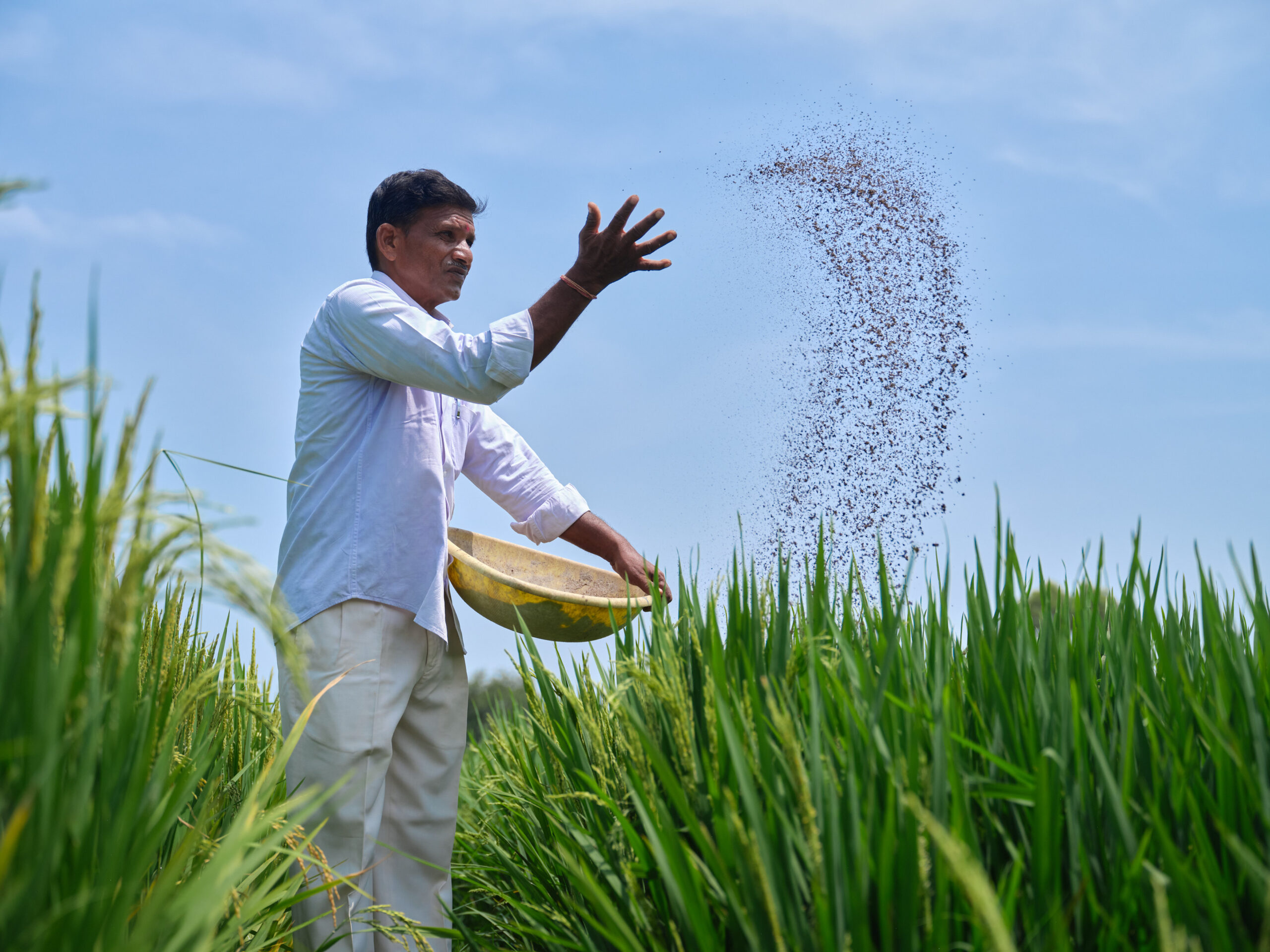 a man throwing seeds in a field