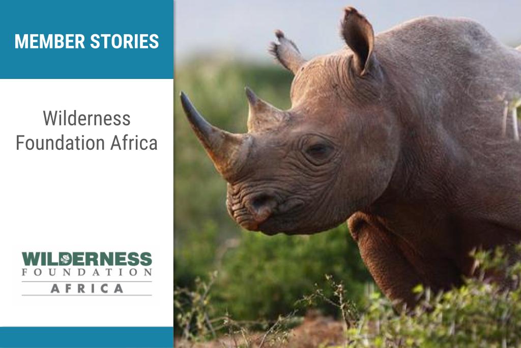 Wilderness Foundation Africa Catalyst 2030 member story