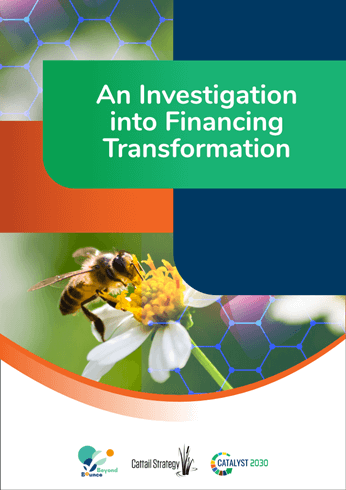 An Investigation into Financing Transformation