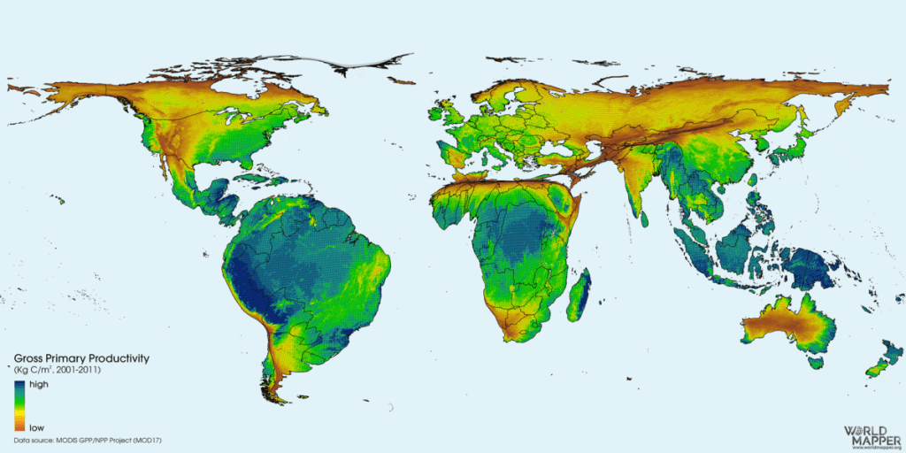 Terrestrial Ecosystem Productivity