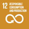 SDG 12 Responsible consumption and production