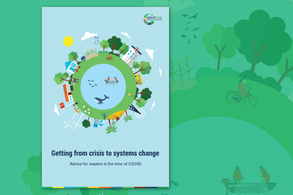 The Getting from Crisis to Systems Change report